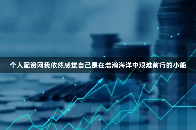 个人配资网我依然感觉自己是在浩瀚海洋中艰难前行的小船