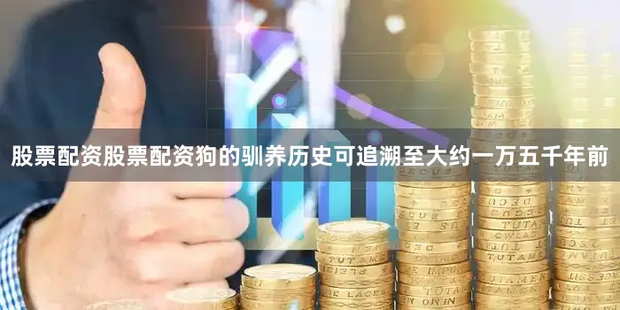 股票配资股票配资狗的驯养历史可追溯至大约一万五千年前
