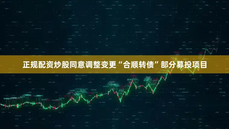 正规配资炒股同意调整变更“合顺转债”部分募投项目