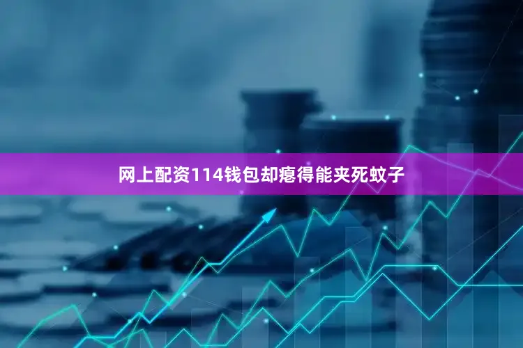 网上配资114钱包却瘪得能夹死蚊子