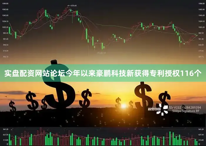 实盘配资网站论坛今年以来豪鹏科技新获得专利授权116个