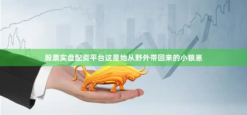 股票实盘配资平台这是她从野外带回来的小狼崽